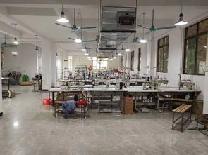 南村镇中心优质制衣厂转让 500方精装厂房，技术设备齐全，拎包入驻